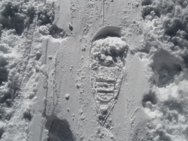 Auf Schneeschuhen auf den Arber